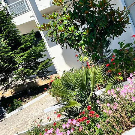 Belvista Seaview * Durrës